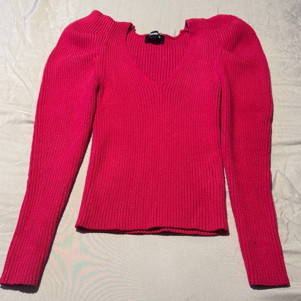 Express Fuchsia V-Neck Sweater